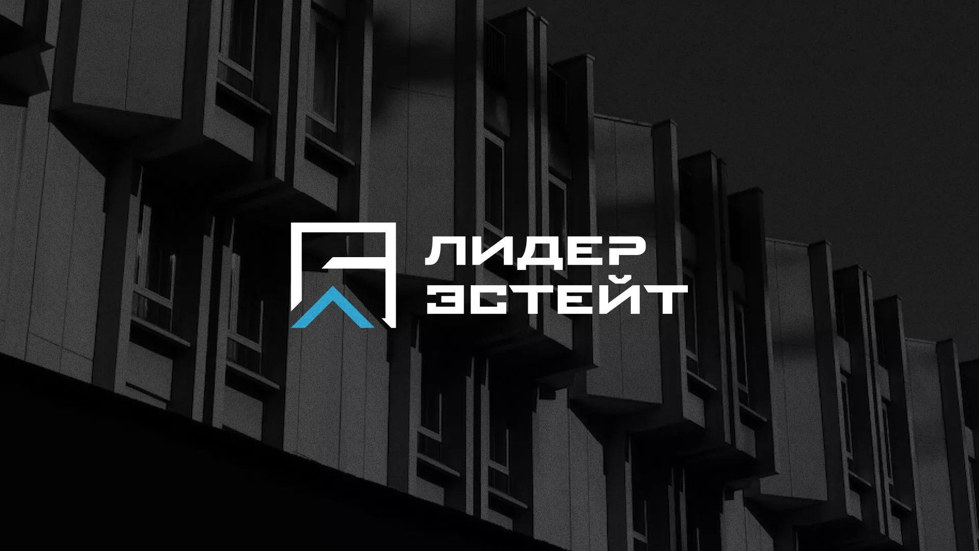 Разработка логотипа агентства недвижимости «Лидер Эстейт» в Александровске-Сахалинском